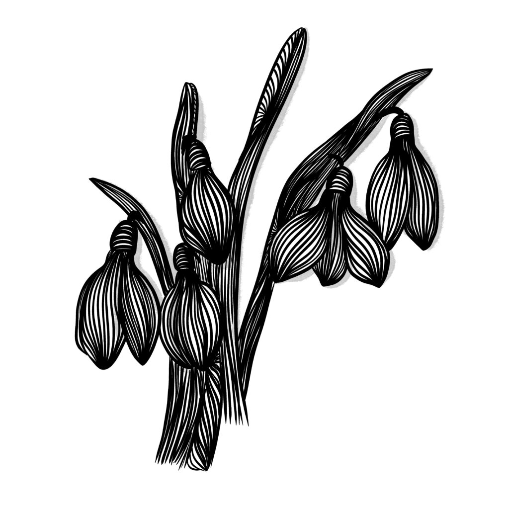 Flower Pattern