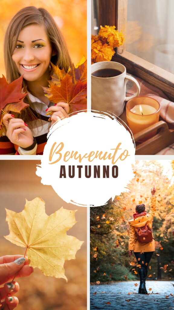 Layout Canva