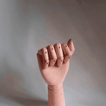 Stop Motion